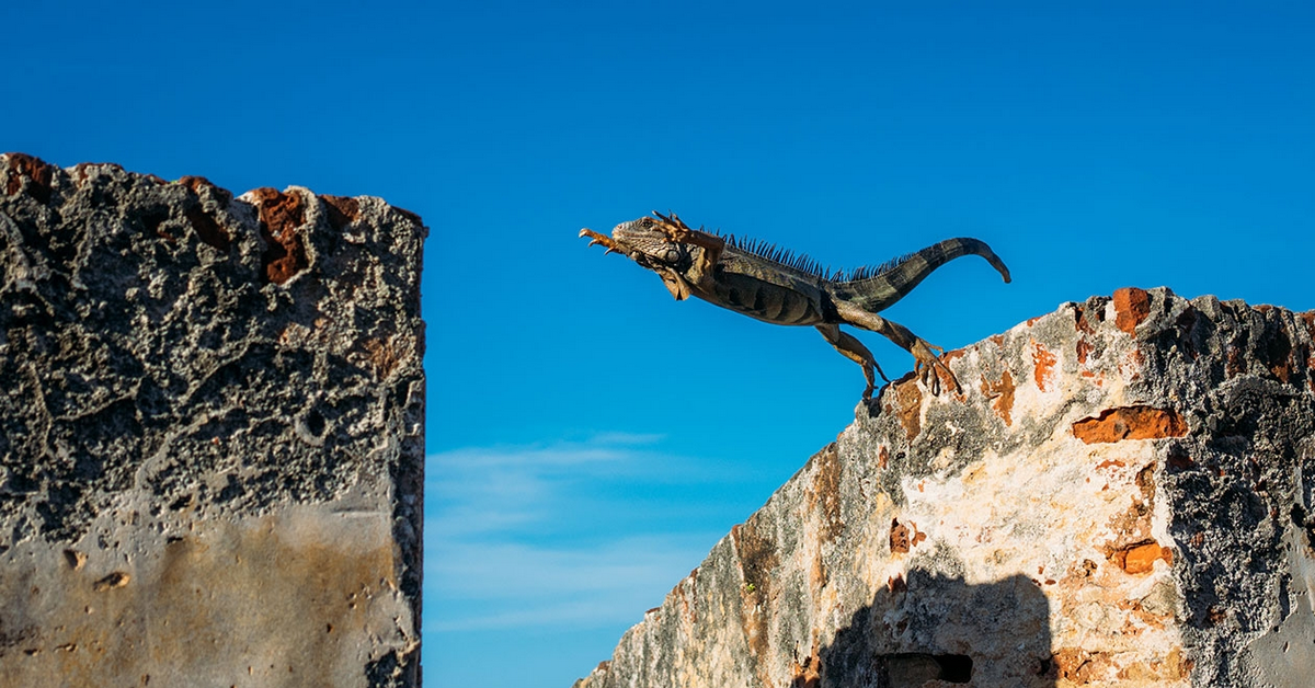 Hiểu đúng về các loại Gap (Khoảng trống giá) trong giao dịch chứng khoán Mỹ!