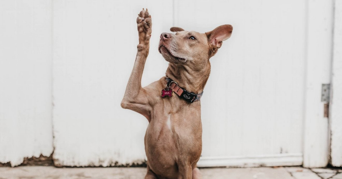 Chiến lược giao dịch chứng khoán Mỹ ngày 23/04 - Tăng tiếp được không?