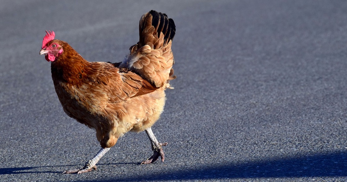 Phân tích Bitcoin tối ngày 26/04 - Có nên bỏ chạy?