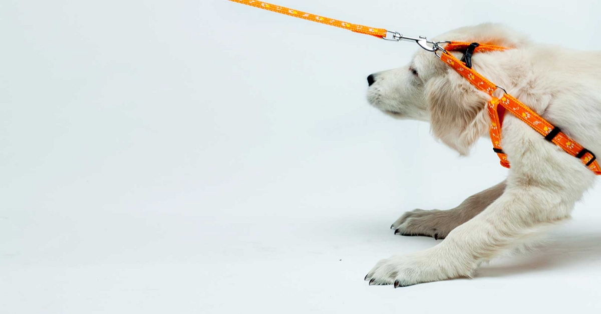 Thị trường crypto theo góc nhìn đồ thị P&F - Ngày 02/05 : Cản cứng!