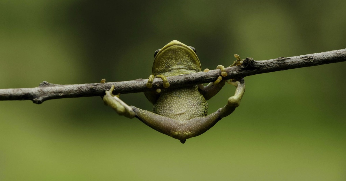 Phân tích Bitcoin tối ngày 02/05 - Nên ngừng mua