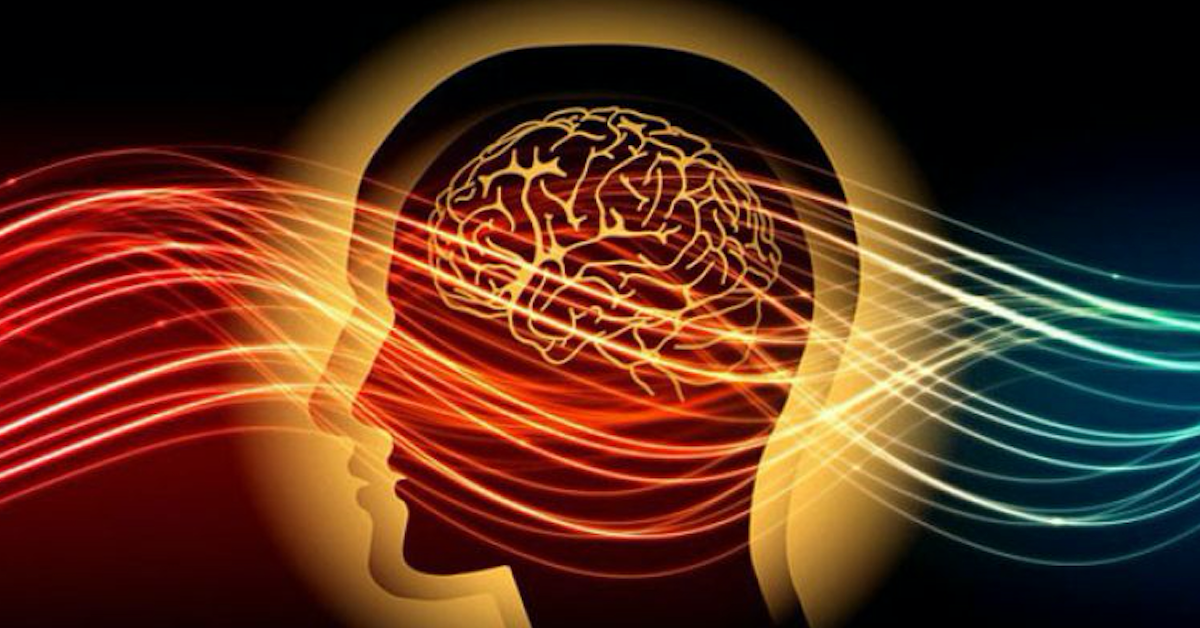 Tâm lý giao dịch - Đặt bản thân vào dòng chảy cơ hội - Phần 15