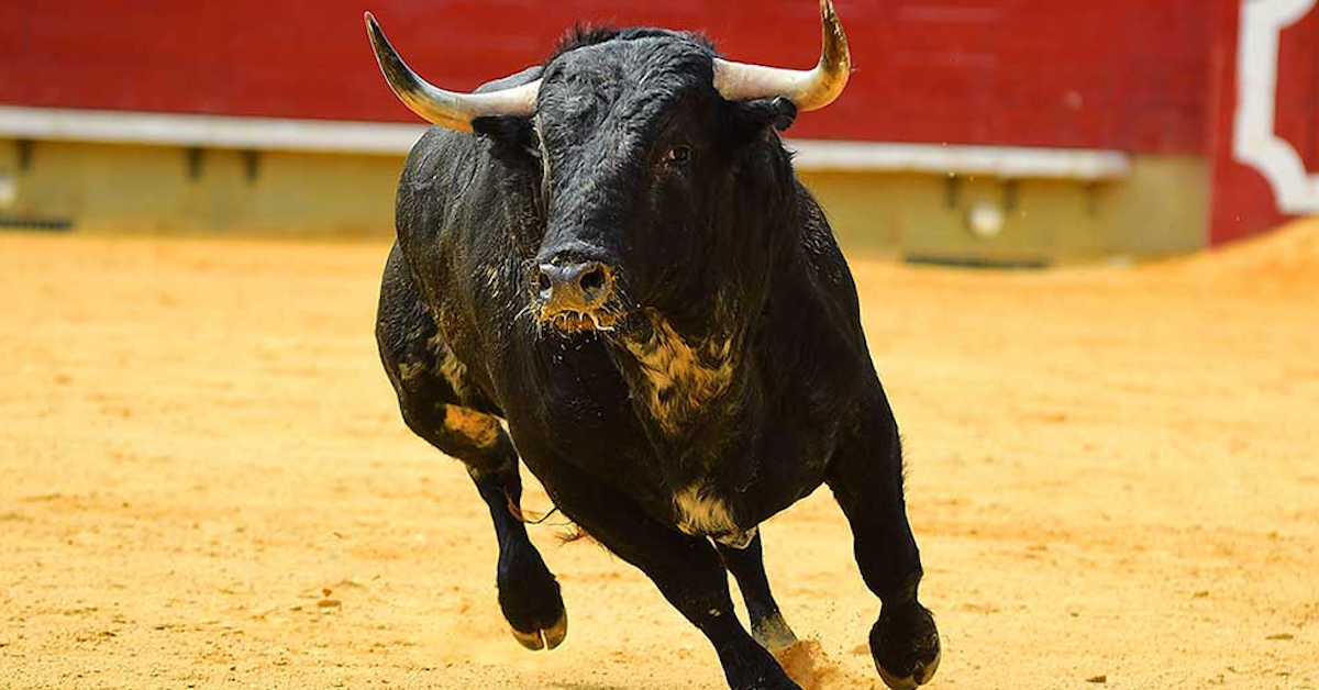 Trả lời câu hỏi này, bạn sẽ biết Bitcoin đã bước vào bull run thực sự chưa