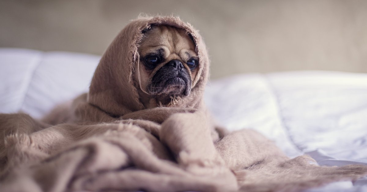 Những yếu tố ảnh hưởng đến hướng đi của giá cổ phiếu Mỹ! Phức tạp hơn chúng ta tưởng!