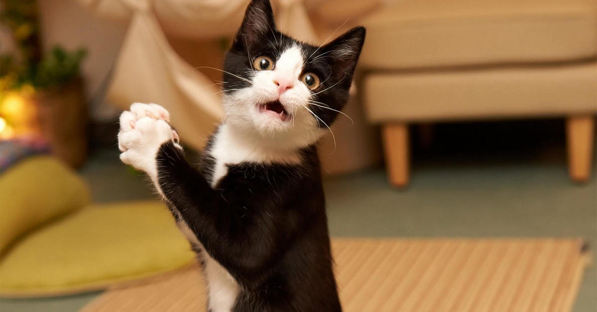 Dấu hiệu cảnh báo thị trường chứng khoán sắp lập đỉnh mới! Thật hay đùa!