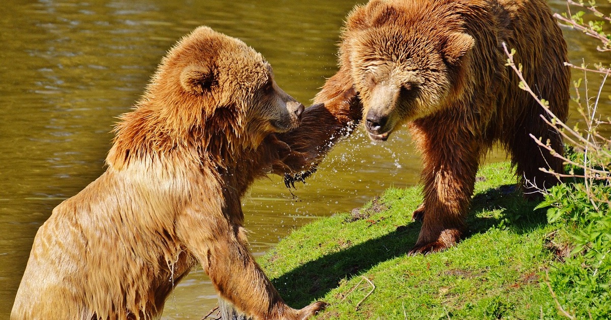 Phân tích Bitcoin tối ngày 11/07 - Fakey có giải cứu được Bò?