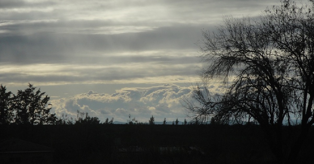 Thị trường crypto theo góc nhìn đồ thị P&F - Ngày 15/07: Xám xịt!