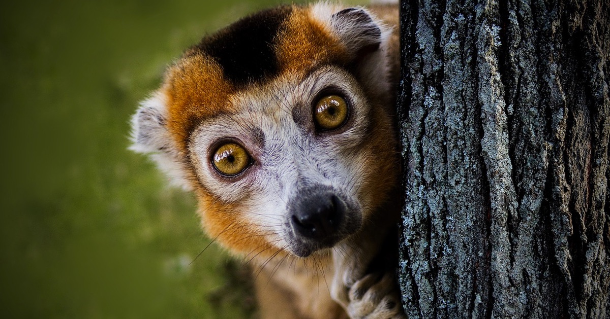 [Tử địa tâm lý] - Nghiện Trading nó "bình dân" hơn bạn nghĩ