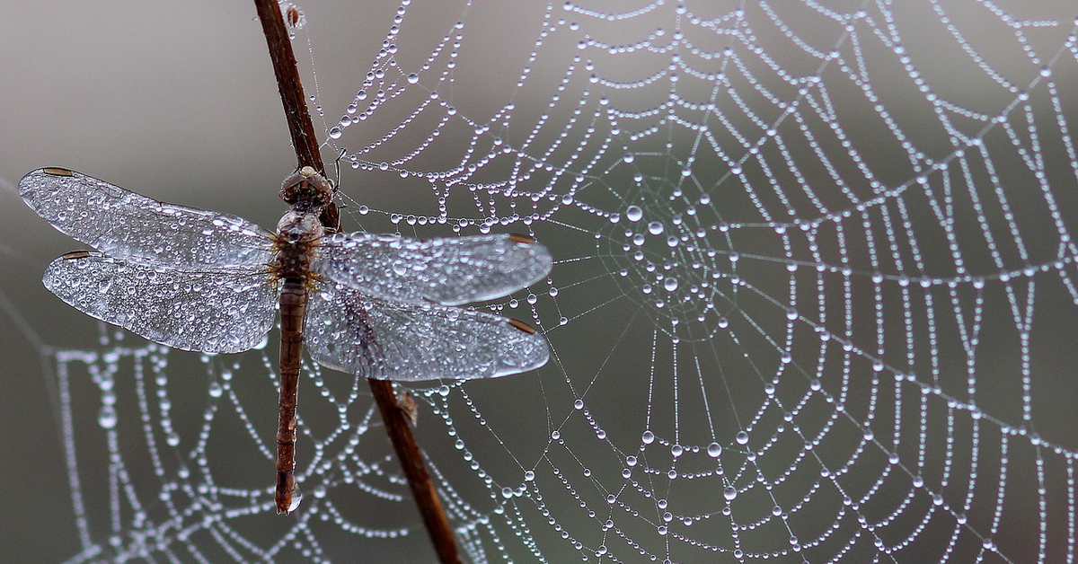 Phân tích Bitcoin tối ngày 26/07 - Sóng sẽ tới theo quy luật PTKT?
