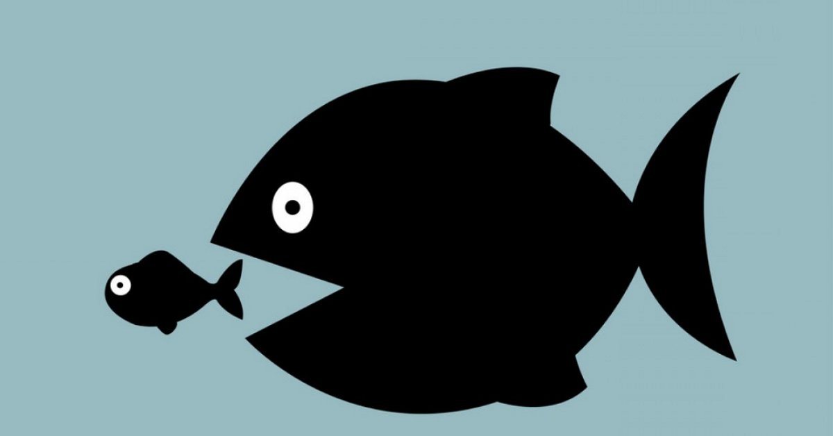 Lời khuyên nào cho New Trader giữa thị trường Forex đầy biến động