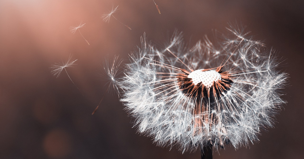 Phân tích Bitcoin tối ngày 13/08 - Sóng Wolfe sẽ thổi bùng giá?