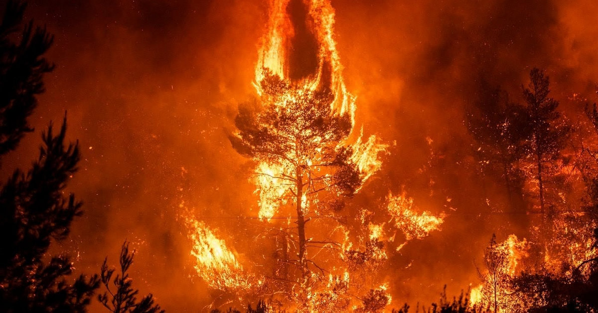 Vụ cháy rừng Amazon để lại bài học sâu sắc gì cho Trader chúng ta?