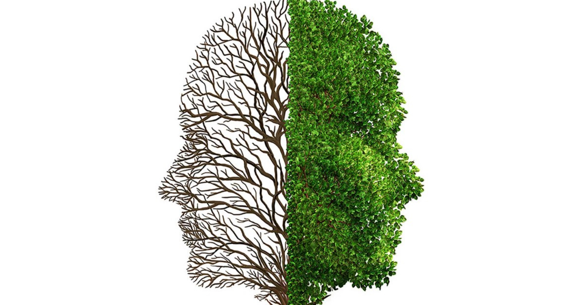 Lối tư duy mới về cảm xúc có thể thay đổi hoàn toàn cách rèn luyện tâm lý giao dịch cho trader!