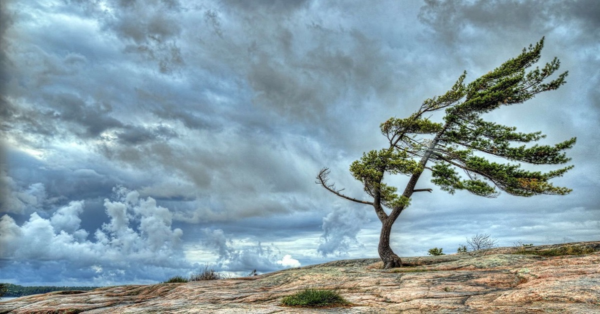 Thị trường crypto theo góc nhìn đồ thị P&F - Ngày 28/10: Gió xoay chiều