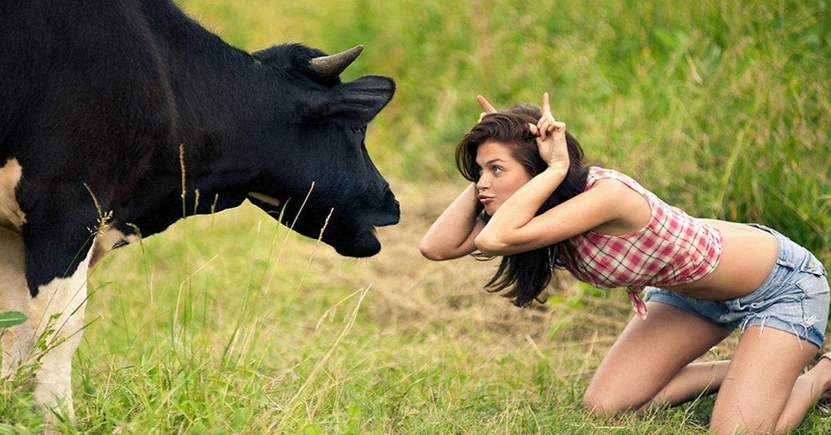 Thị trường crypto theo góc nhìn đồ thị P&F - Ngày 05/11: Dấu hiệu đã xuất hiện?