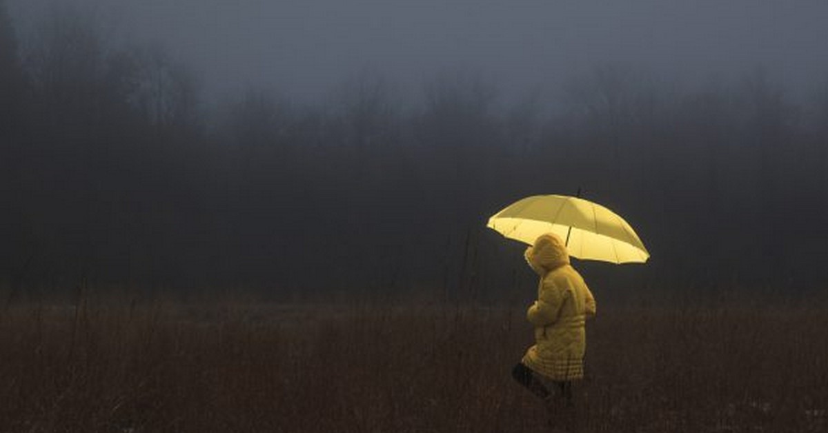 Phân tích cơ bản Forex ngày 13/11 - Bão Trump đi, bão Powell đến