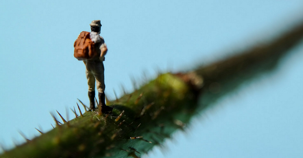 Trader có biết đích đến của mình trông như thế nào không?