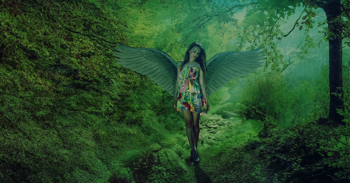 Thị trường crypto theo góc nhìn đồ thị P&F 11/12: Câu trả lời chưa thuyết phục