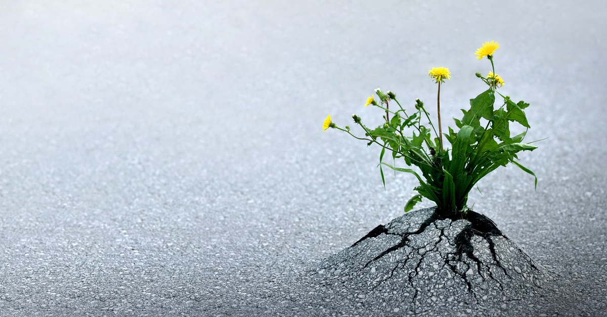 Giao dịch breakout với sự xác nhận và giao dịch với stop order - Đâu là thời điểm tốt?