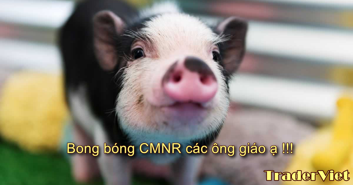 Giá heo Việt Nam đang bong bóng sắp nổ. Và đây là dự đoán điểm nổ