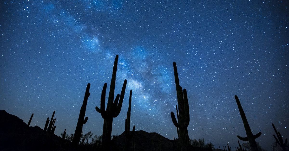 Mô hình nến Doji và Doji bóng dài