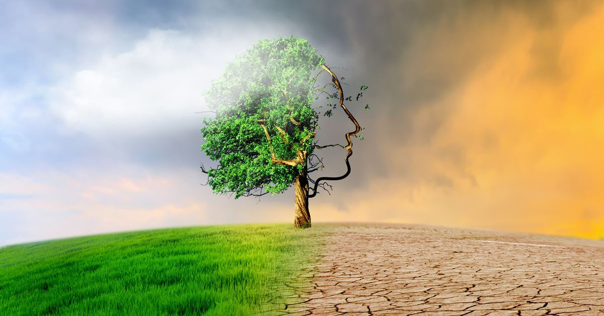 Cách trade của bạn ra sao, kết quả giao dịch của bạn sẽ như vậy!