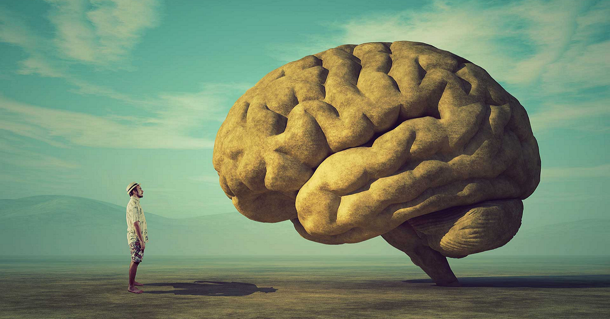 Biểu hiện, nghề nghiệp phù hợp với 9 loại trí thông minh và những nhân vật nổi tiếng điển hình