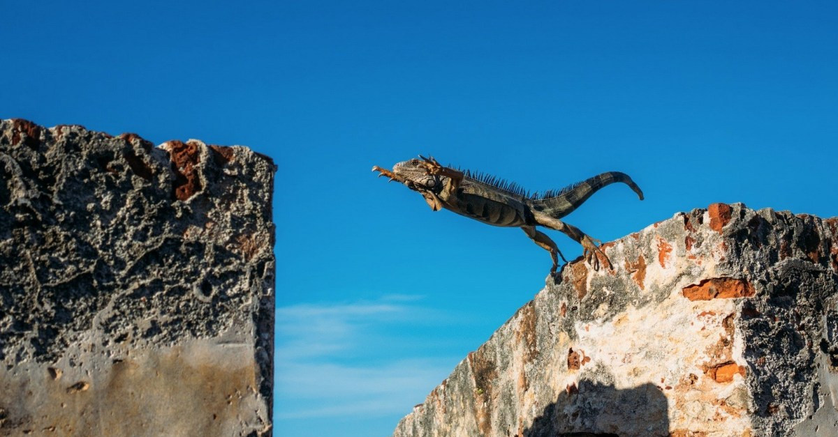 Chiến lược giao dịch price action cực đơn giản với khoảng trống giá (Gap) trên khung D1