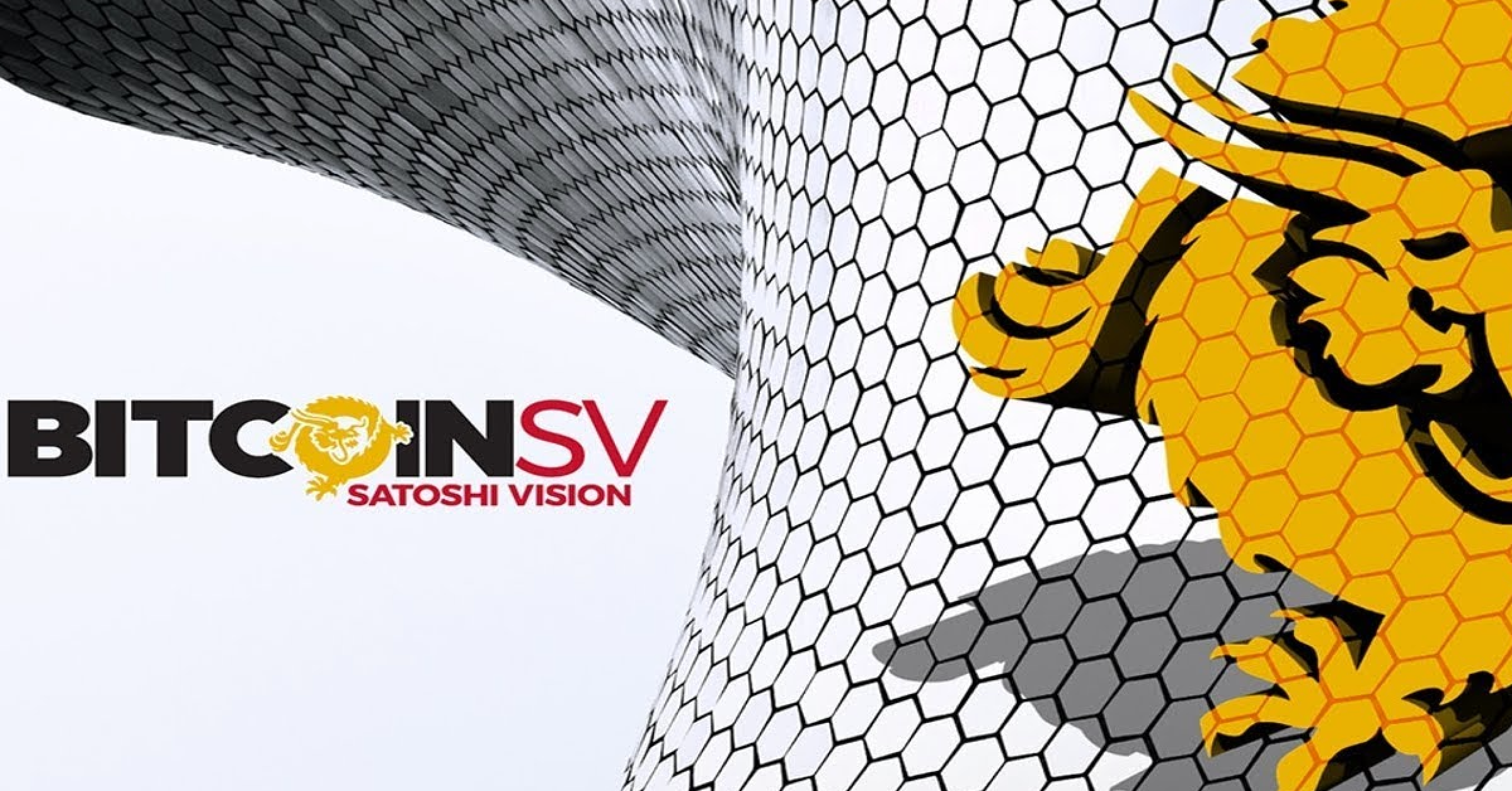 BSV giảm 40% sau khi Craig Wright không thể đưa ra bằng chứng về private key