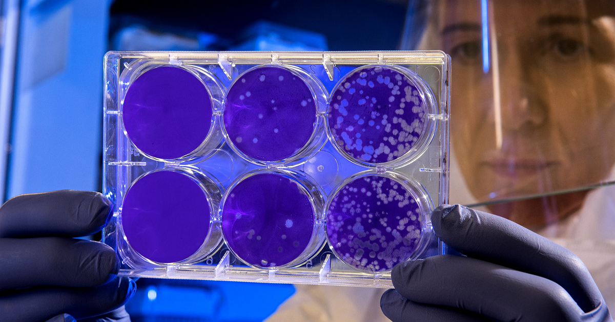 Giữa cơn bão virus viêm phổi Vũ Hán, anh em nghĩ đâu là những tài sản được săn đón?