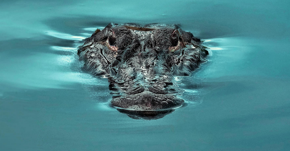 Những điều cần biết khi giao dịch cặp tiền tệ GBPJPY – Thứ không dành cho tất cả