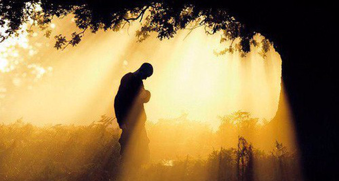 Đạo Trading (bản full, 2019)