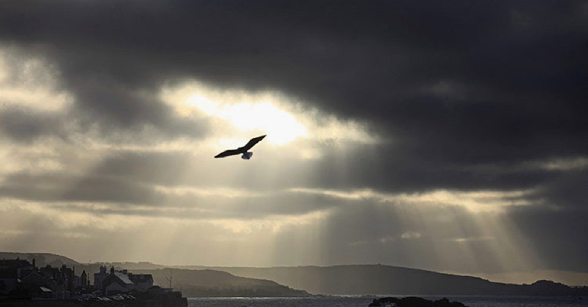 Thị trường crypto theo góc nhìn đồ thị P&F 24/03: Tiệm cận đường xu hướng!