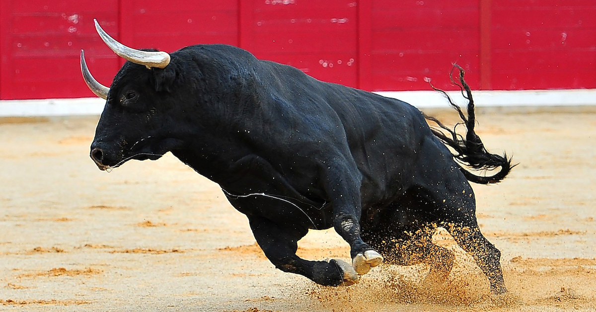 Bull Bitcoin liệu có thể test 10.000 USD trước Halving?