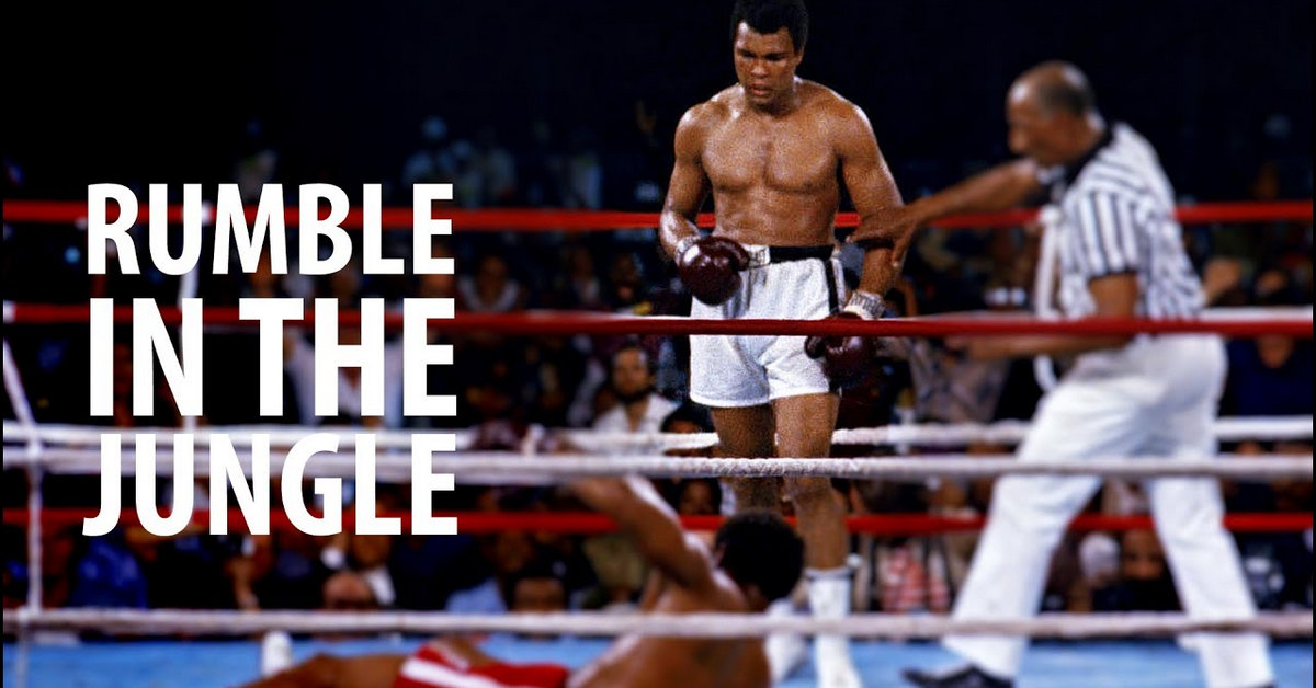 Những đòn hiểm nào giúp trader knockout thị trường? Bài học từ một nhà vô địch quyền anh!