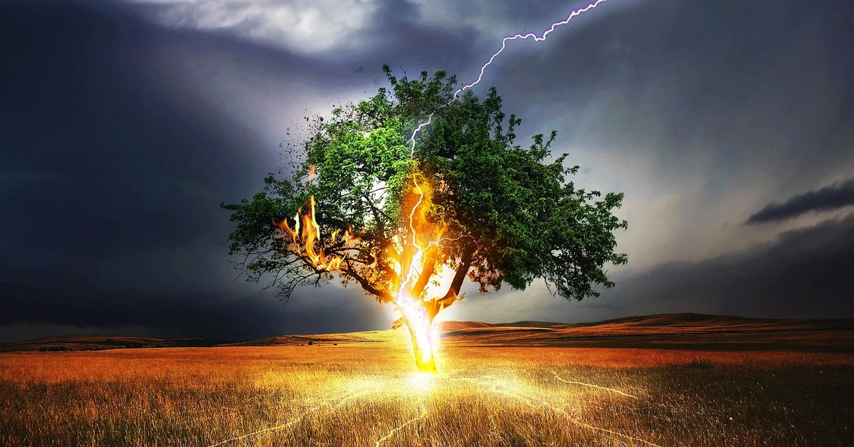 Phân tích cơ bản Forex ngày 12/06 - Làn sóng dữ bắt đầu?