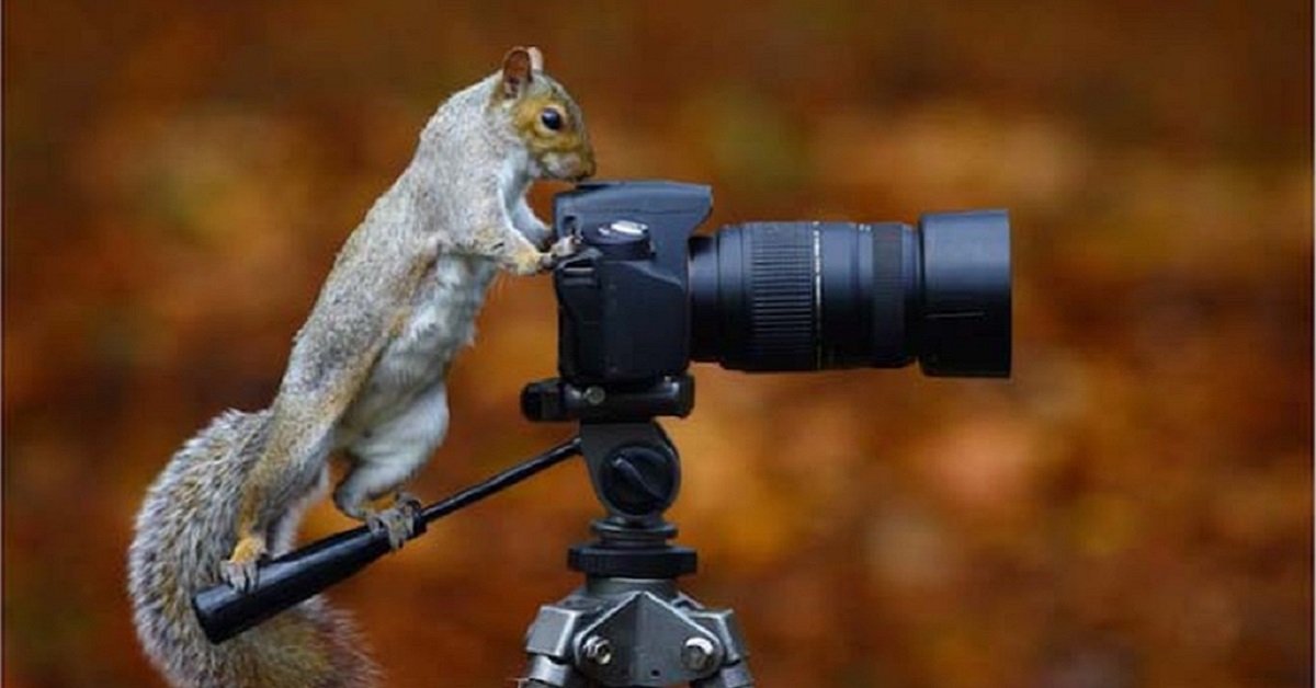 Thị trường crypto qua góc nhìn đồ thị P&F ngày 02/07: Có 2 kèo có thể xem xét.