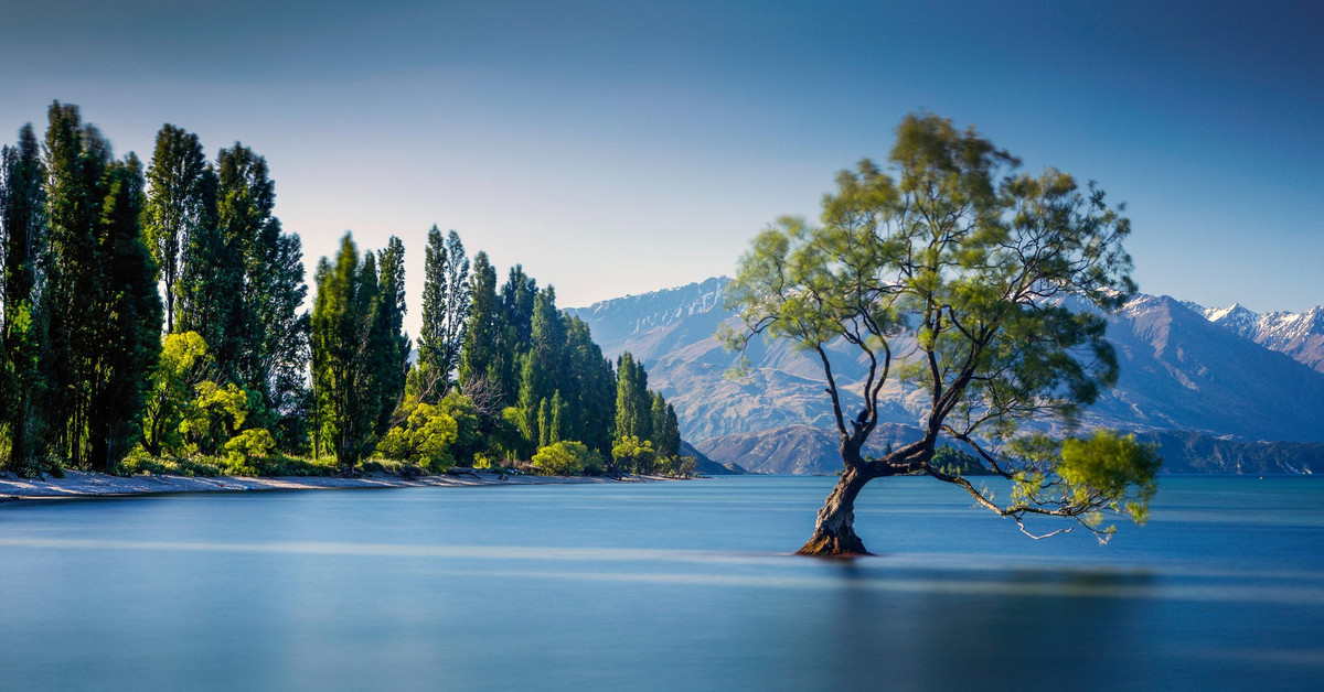 Chìa khóa để rèn luyện tâm lý giao dịch thành công!