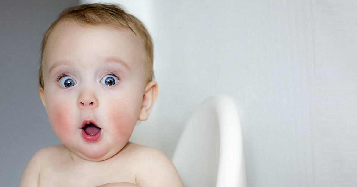 Điều mà nền giáo dục và chính phủ không dạy bạn!