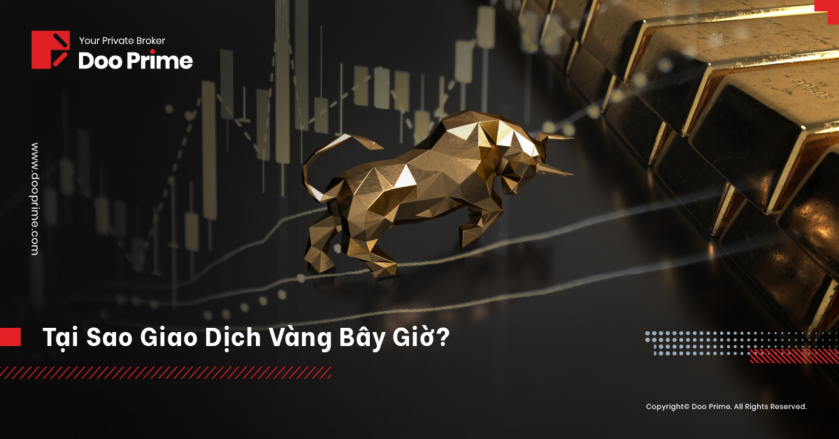 Tại Sao Nên Giao Dịch Vàng Bây Giờ?
