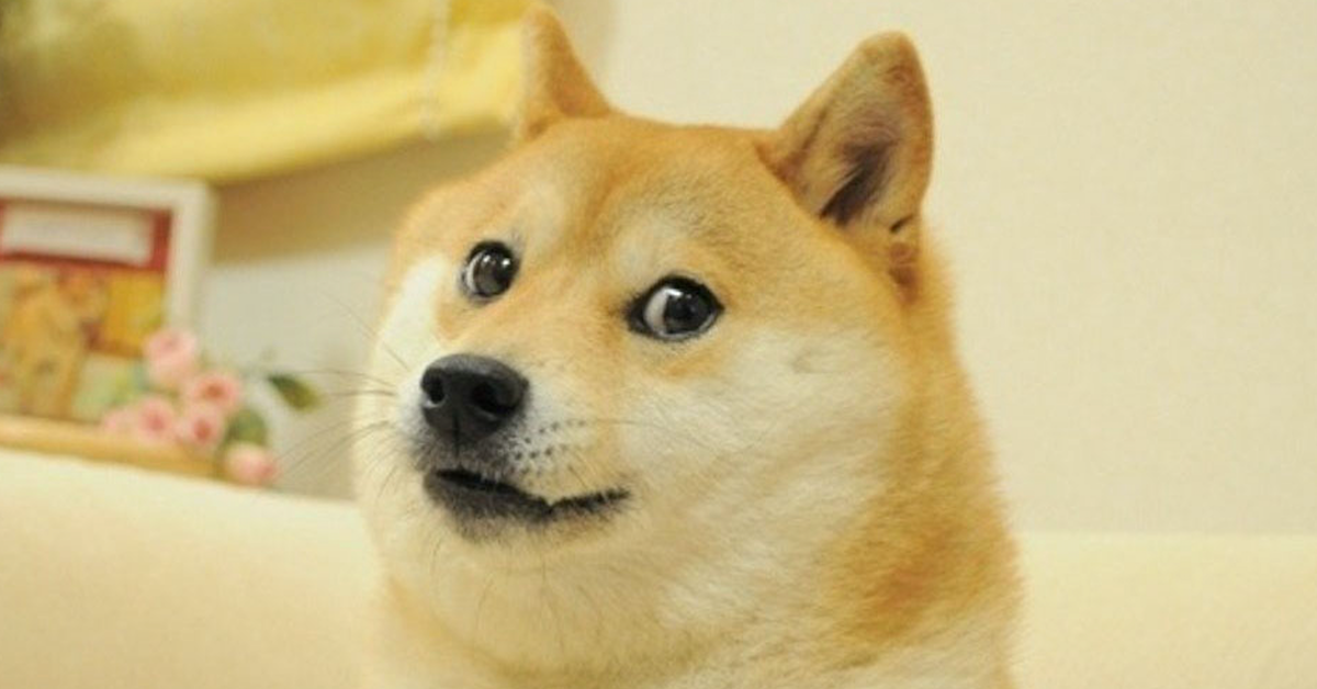 Đây là các cổ phiếu Mỹ nên nắm giữ khi vàng tạo đỉnh cao mọi thời đại