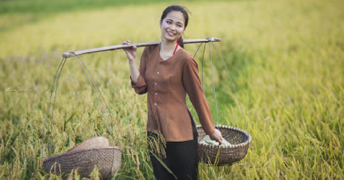 Hôm nay giao dịch cổ phiếu Mỹ gì? - Ngày 7/8: Lượm lúa