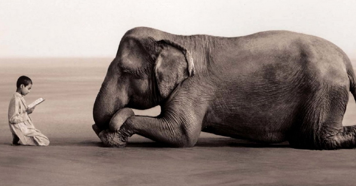 Trading đã dạy được cho trader những bài học giá trị nào?