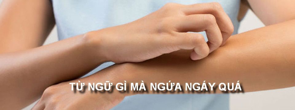 Những từ ngữ gây dị ứng trong cộng đồng Trader Việt Nam