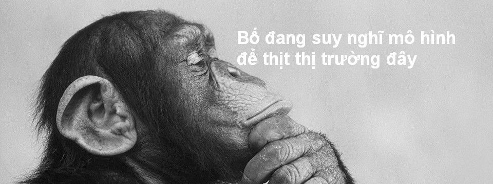 Quan điểm và nhận thức cá nhân trong trading