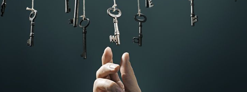 Danh sách các trang web hay về price action