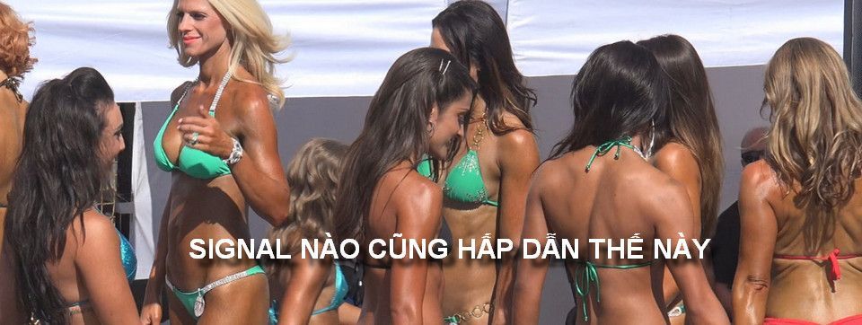 Những Trader bán tín hiệu hàng đầu trên MQL kiếm bao nhiêu tiền 1 tháng?