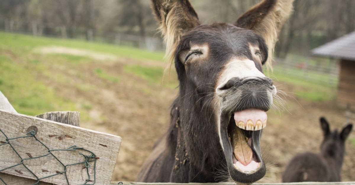 Đỉnh cao COIN MỘT LẰN là đây