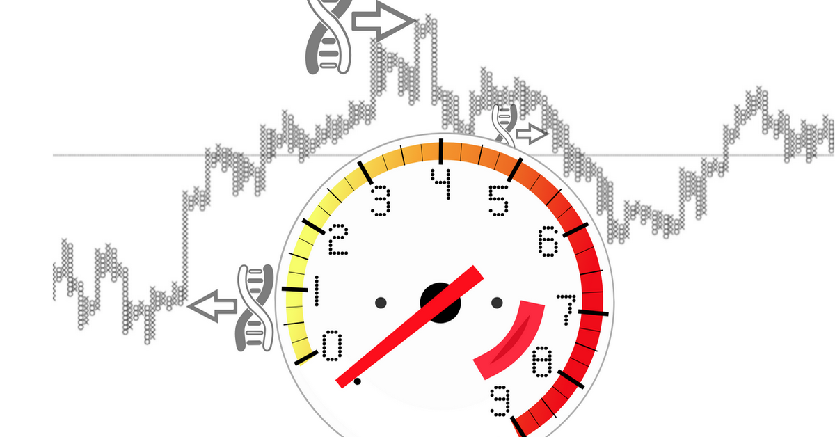 Thị trường crypto qua lăng kính đồ thị PnF ngày 10/09: Chuyển sang đồ thị có kích thước hộp 1%