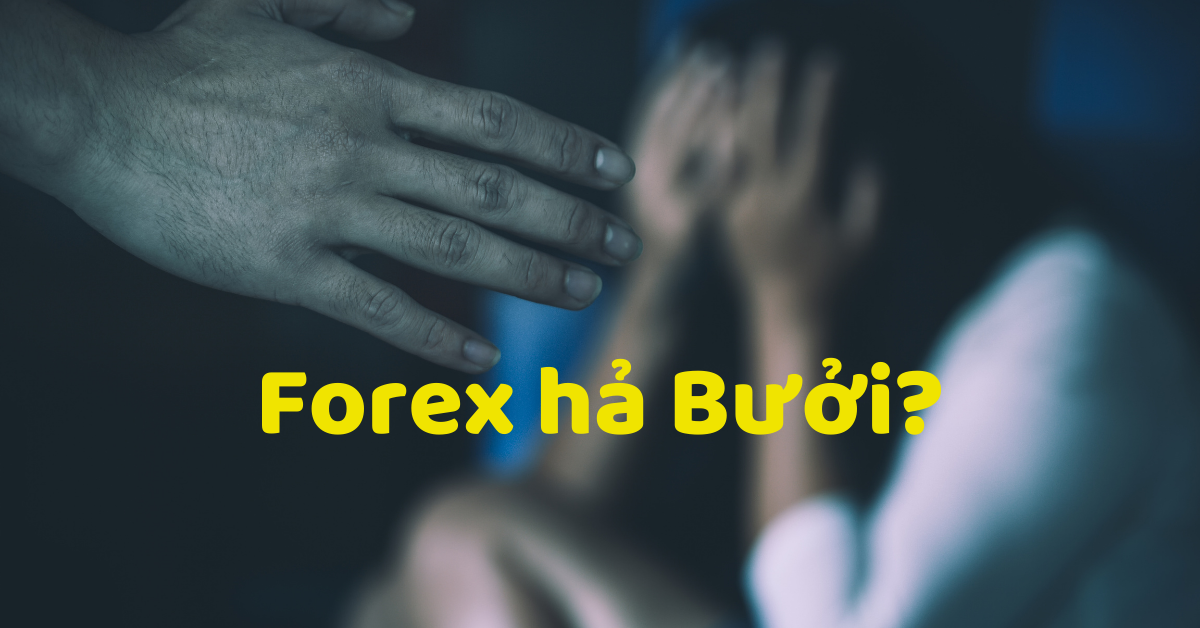 (Trader tâm sự) Đánh vợ mới cưới vì cô ấy giao dịch forex thua lỗ, em đã làm đúng không anh em?